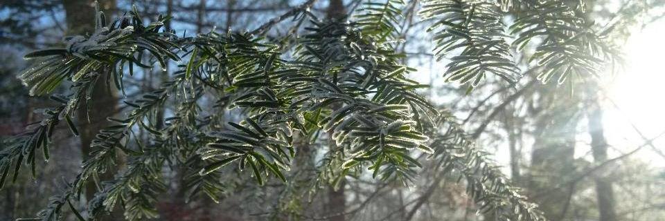 Educate_Explore's profile banner image