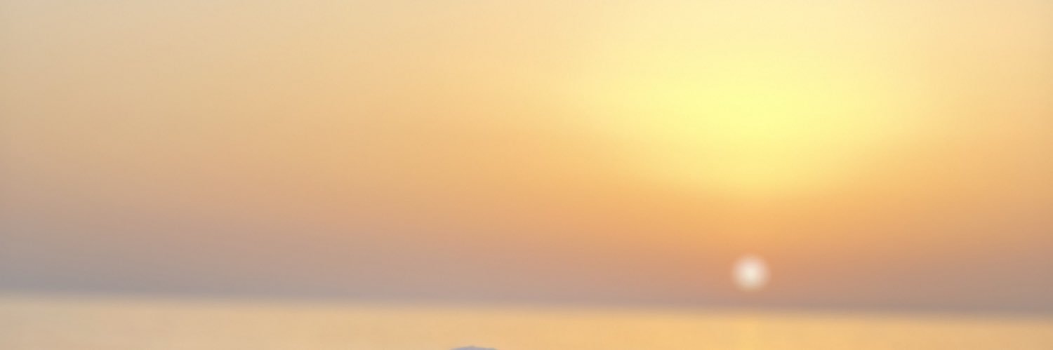 birolsabanoglu's profile banner image