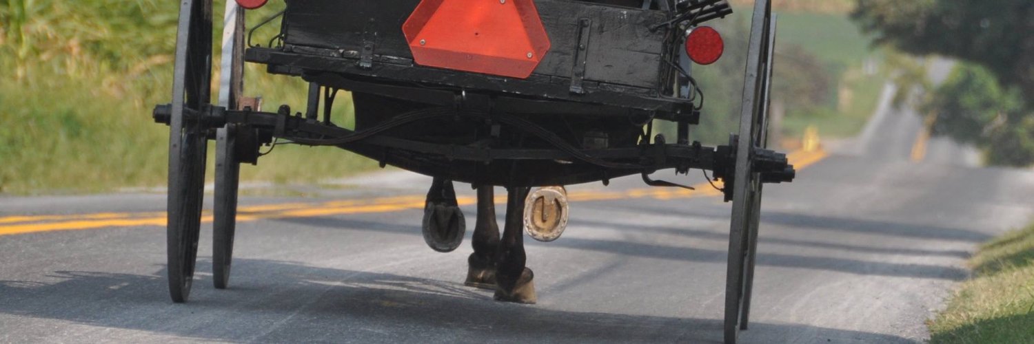 Marlene Patterson banner