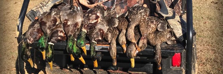 hunterbrown2555's profile banner image