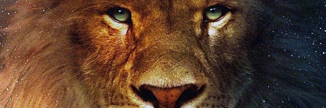 djibchacal's profile banner image