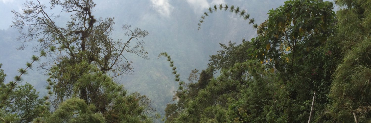 KathCappellacci's profile banner image