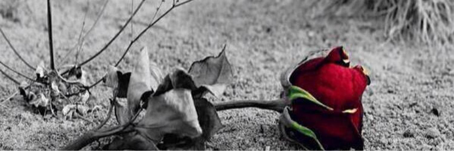 Qomrhm1's profile banner image