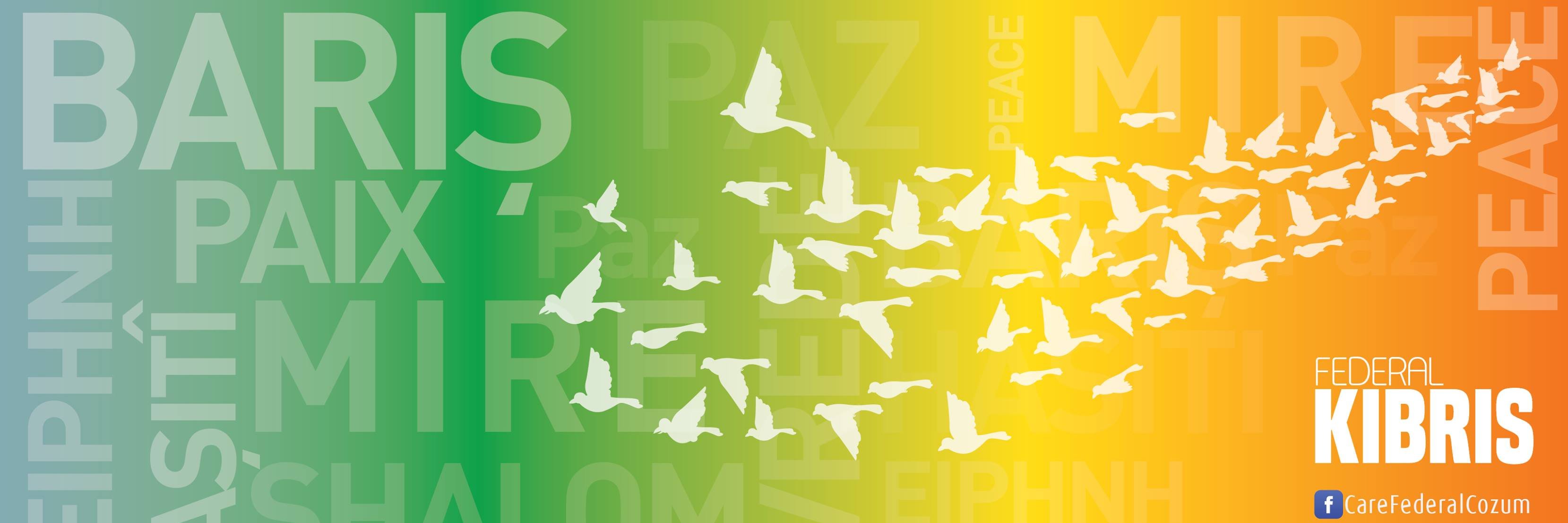 Ayşemden Akın banner