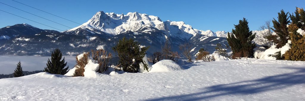 MilaNovk's profile banner image