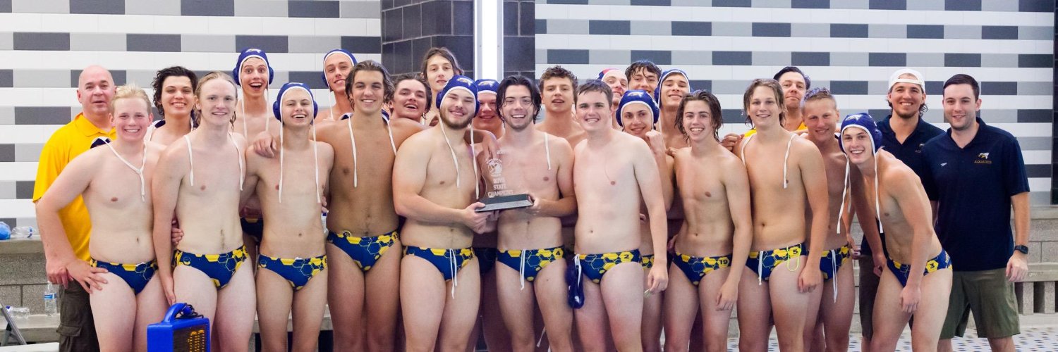 HudsonvilleWaterPolo banner