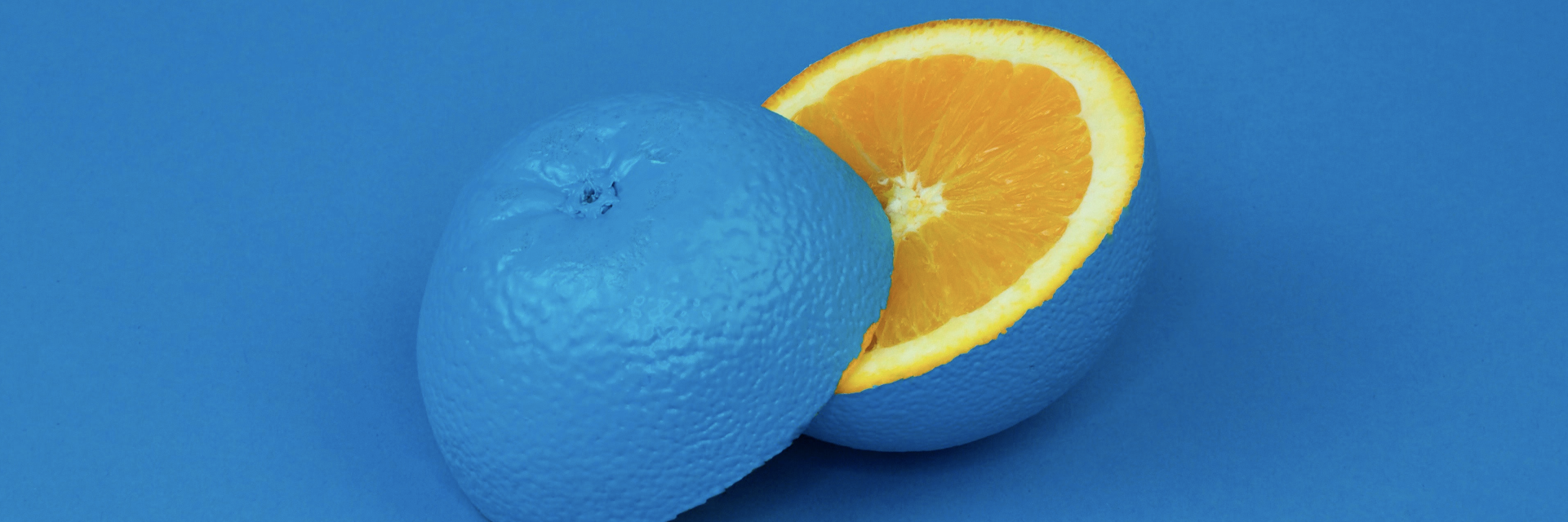 Angela M. Harp banner