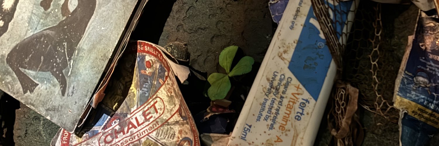 teramishu's profile banner image