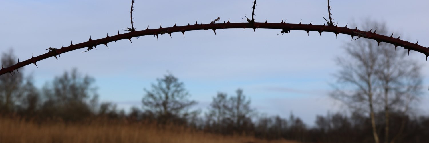 calumdating's profile banner image