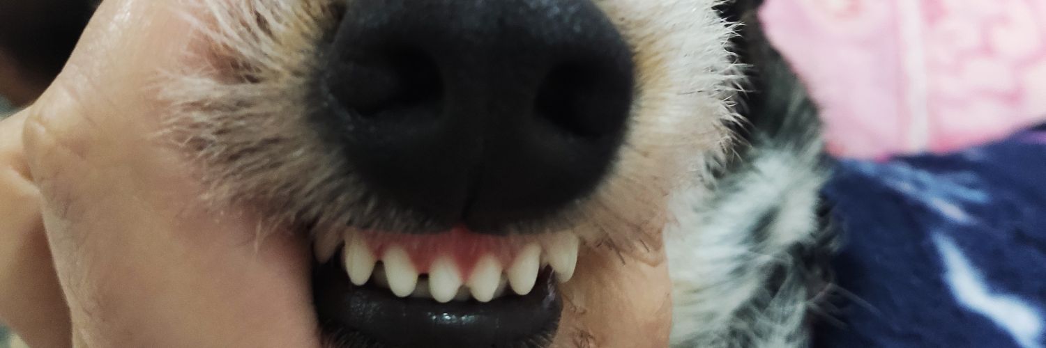 betty_it's profile banner image