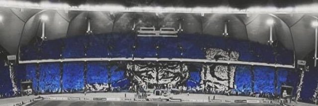 mem 🇸🇦💚 banner