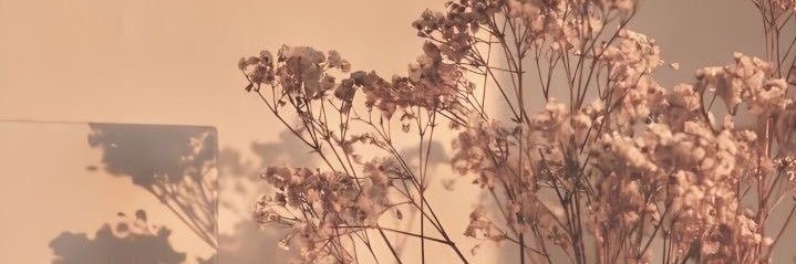 afrah_hj's profile banner image