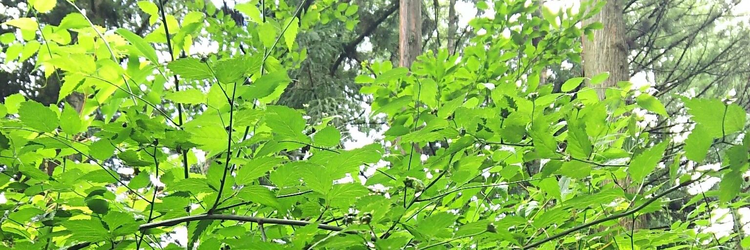 hiro_min_'s profile banner image