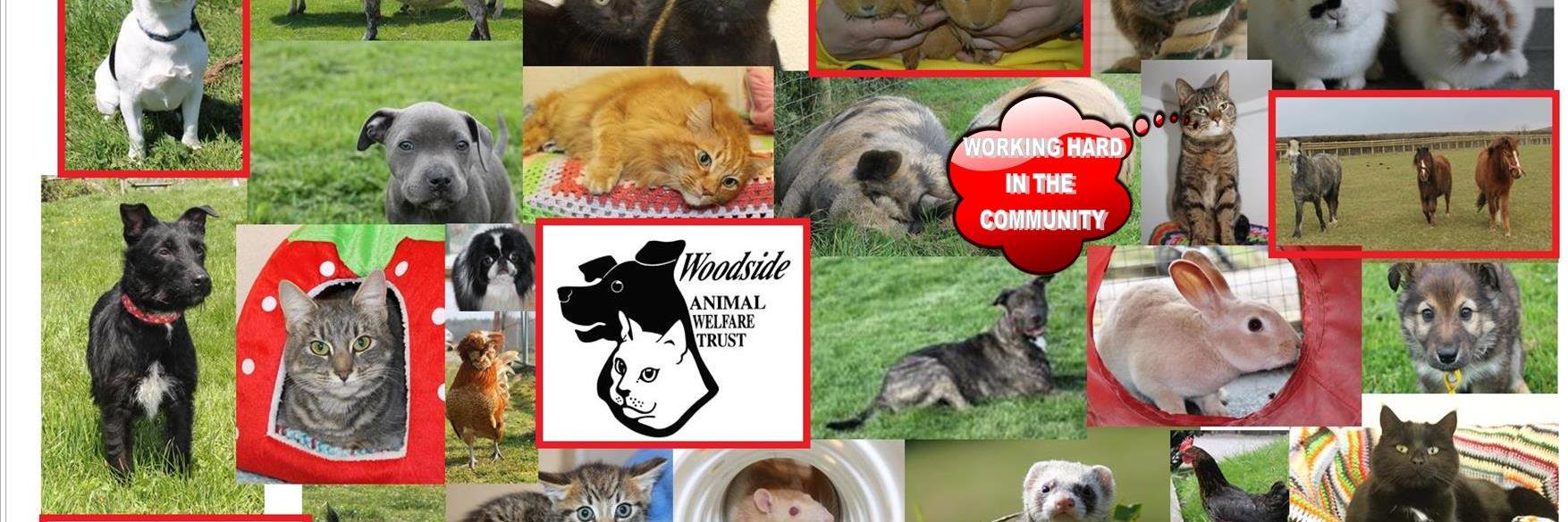 Woodside Trust banner