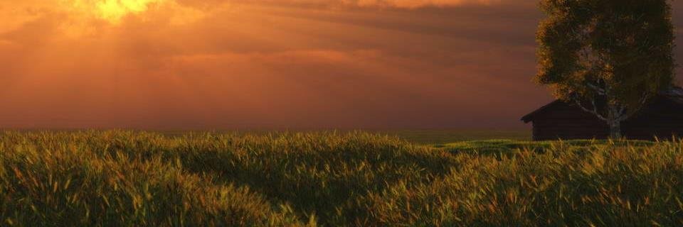 Lelisha banner