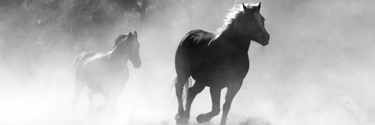 Çarlo de ßlasio ♞ banner