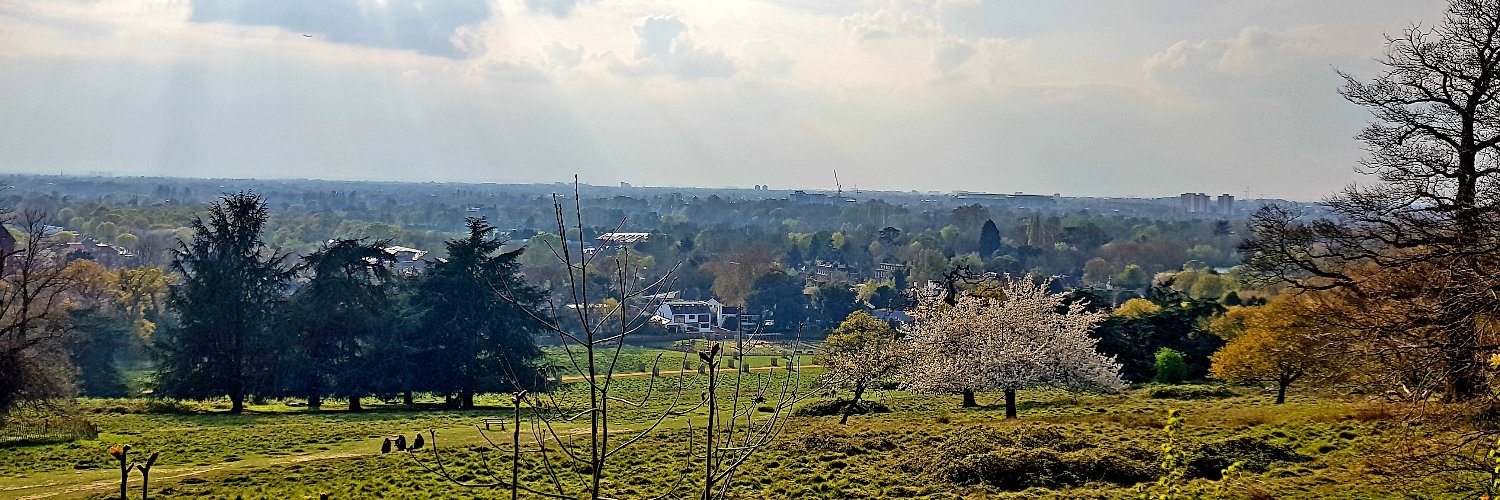 Yingqin Zheng banner