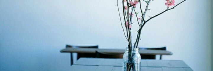 lilas_nice's profile banner image