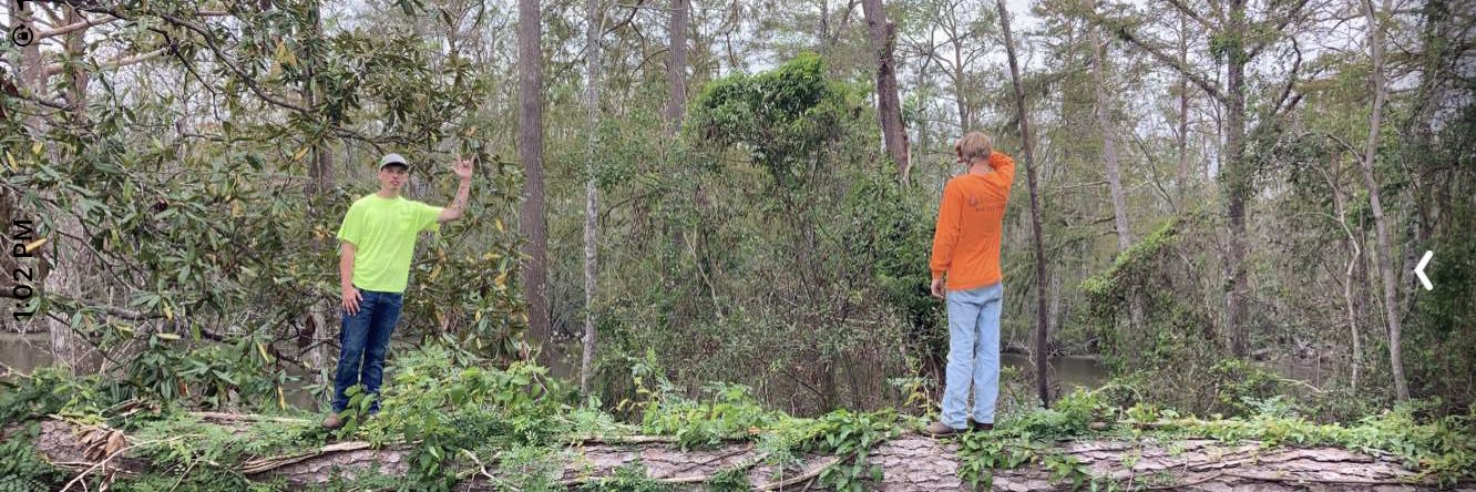 Healing 👁️ banner