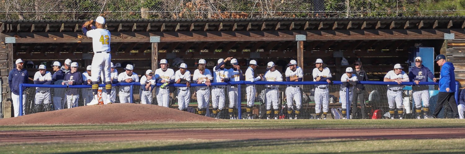 Seahawk Baseball banner