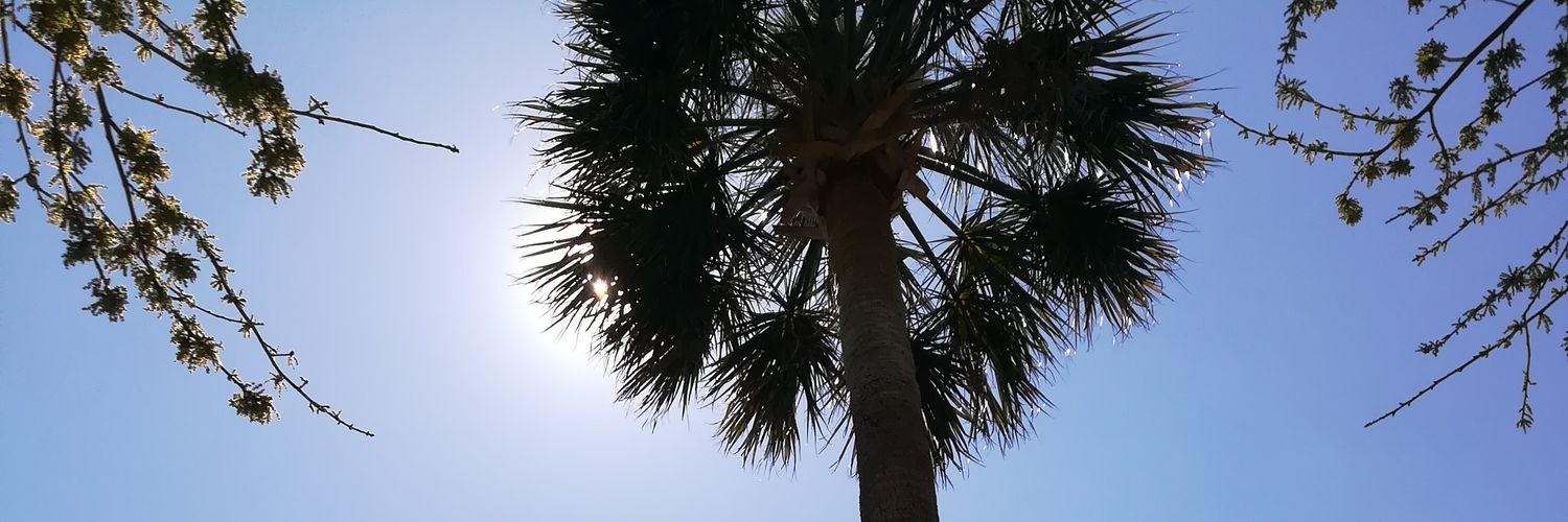 KarleBee's profile banner image
