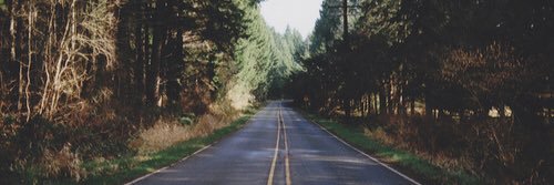 ep_fern's profile banner image