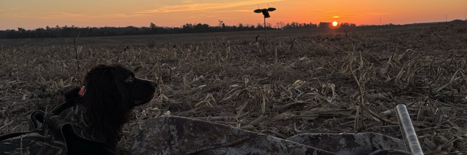lilzlild's profile banner image