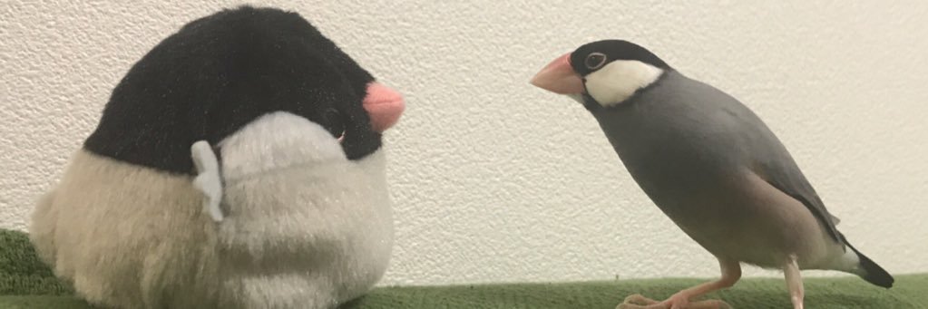 misatomc's profile banner image