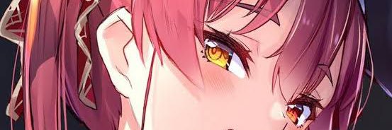 oppaippaiku's profile banner image