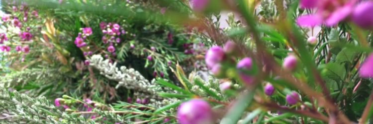 Mrs Teach ABC banner