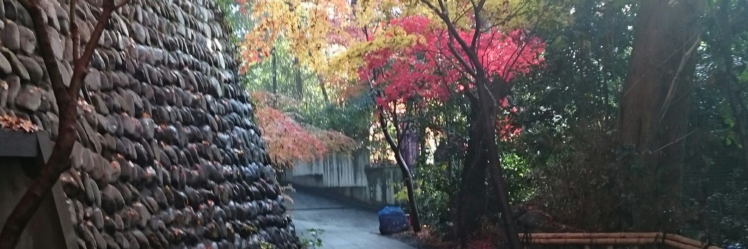 Akio80831's profile banner image