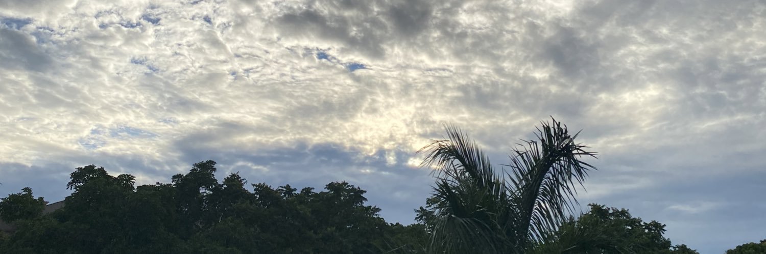 diet coke enthusiast banner