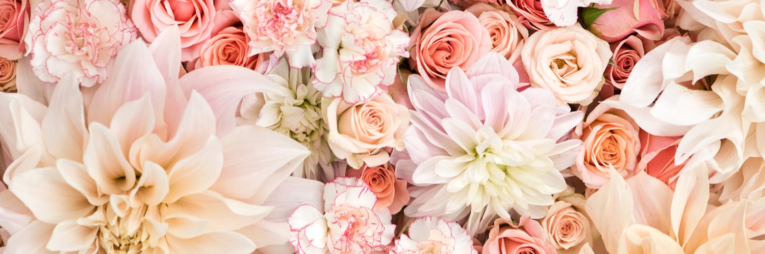 Stacey Foshee banner