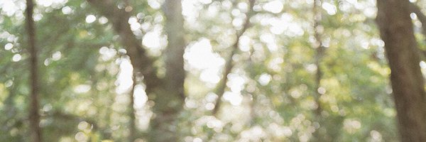 WellnessMama Profile Banner