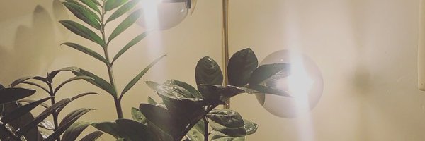 mrhfreemann Profile Banner