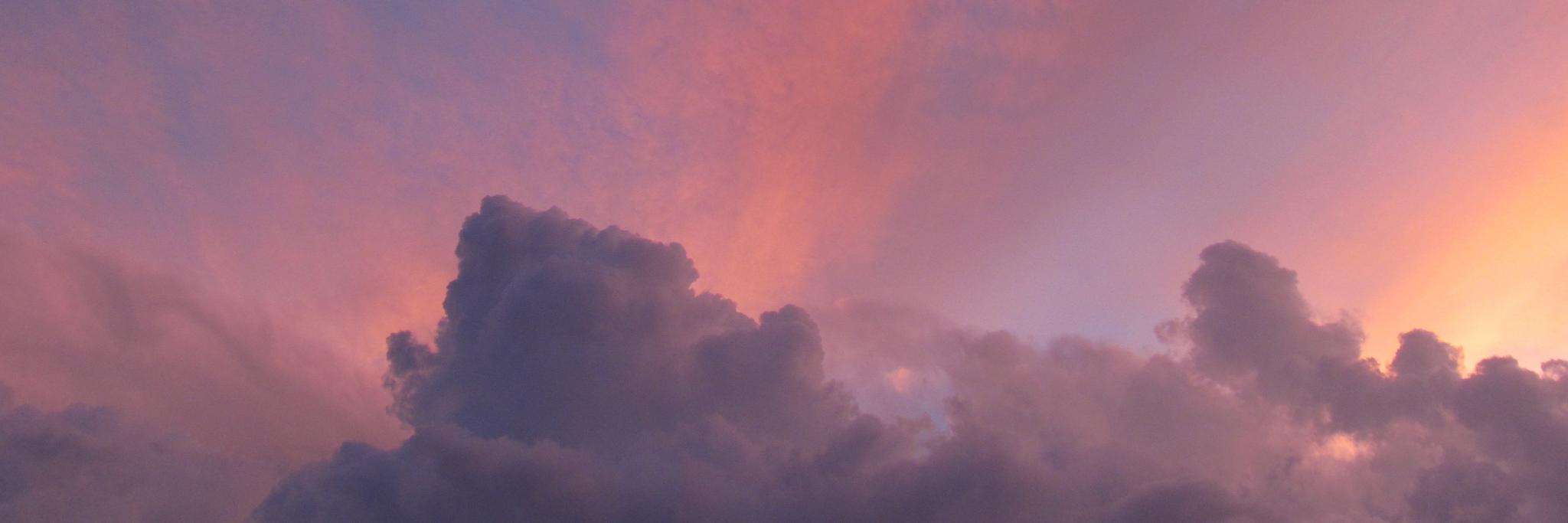 Belenchus's profile banner image