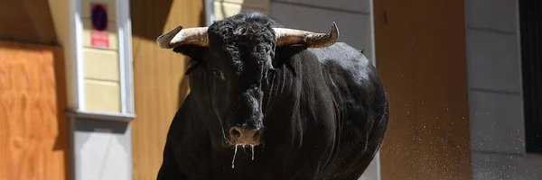 Black Bull Ripon banner