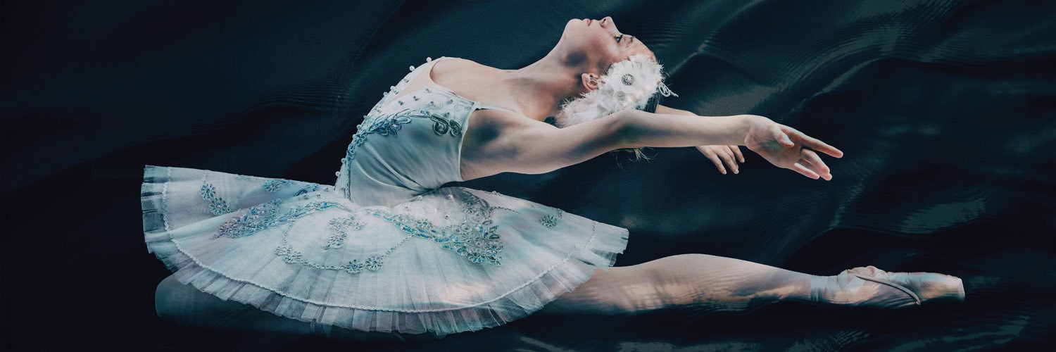 skyeballet's profile banner image