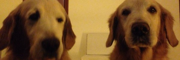 javierhcab Profile Banner