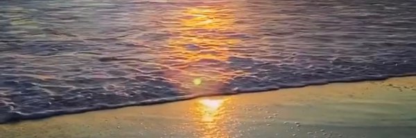 CrisSFDC Profile Banner