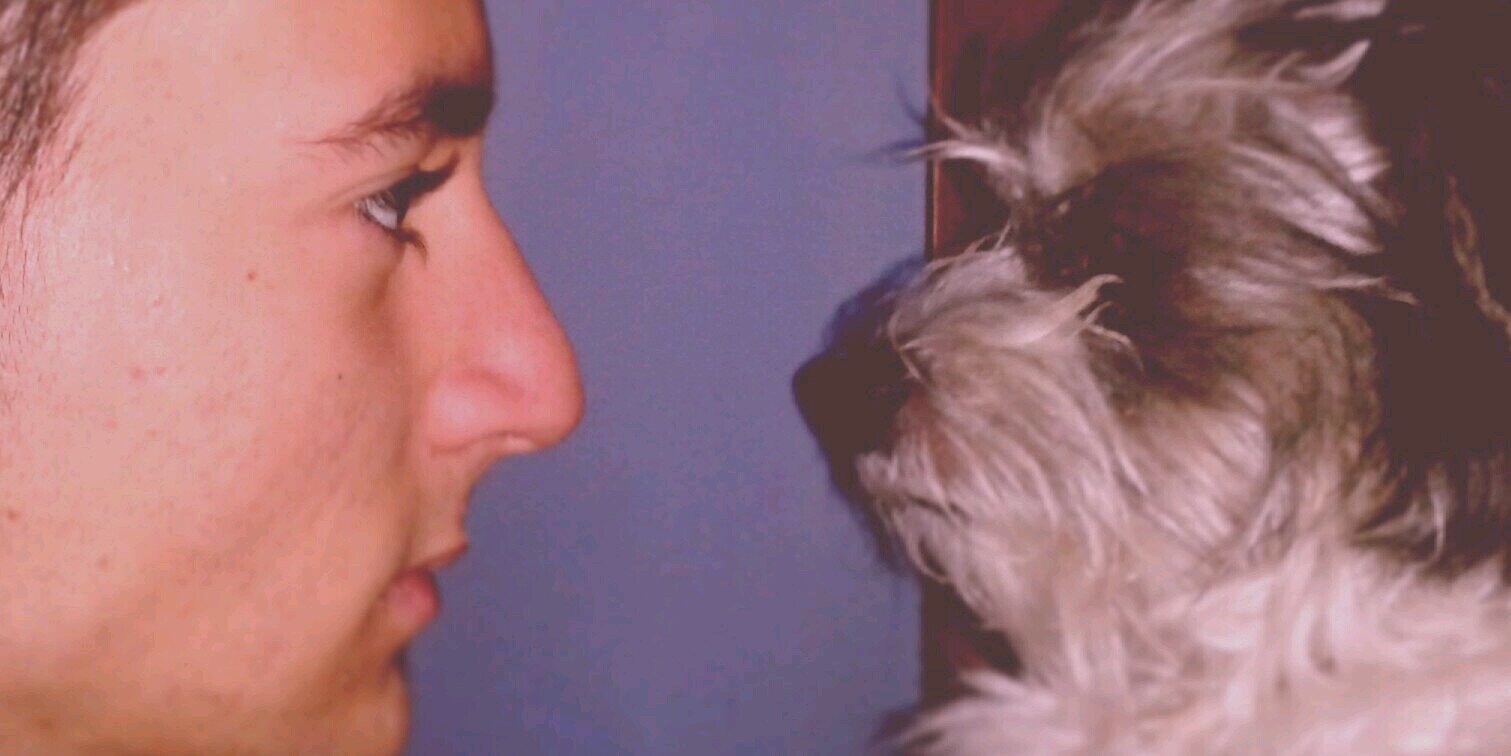 AlbertoRosii22's profile banner image