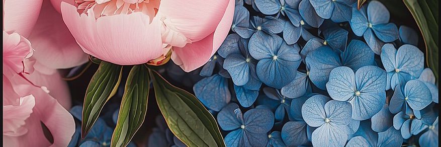 WayfaringBroad banner