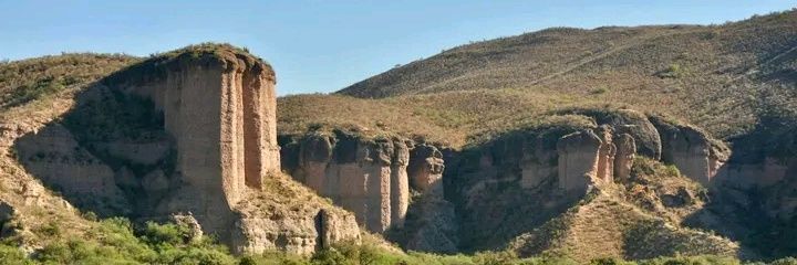 Subsecretaría de Ingresos banner