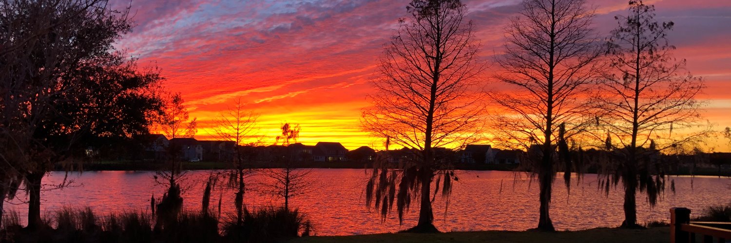 Let's Use Common Sense banner