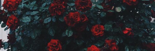 _krizhaadrielle's profile banner image
