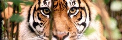 UWAPartyLife's profile banner image