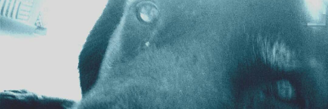 José Antonio Gomez banner