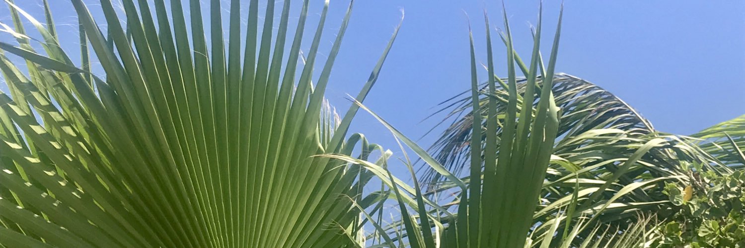 morganfraserrr's profile banner image