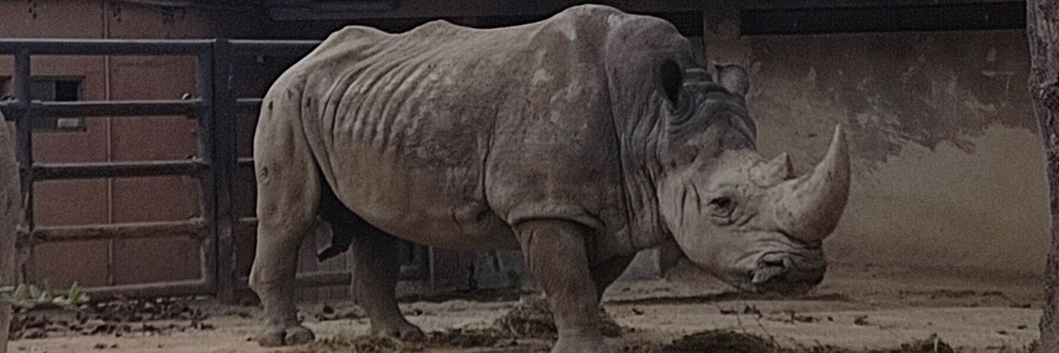 M. Belén Revert banner