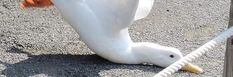 LeGromar's profile banner image